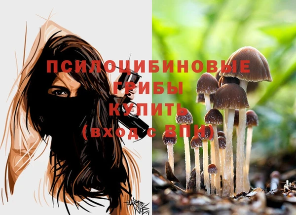 соль ск Алексин